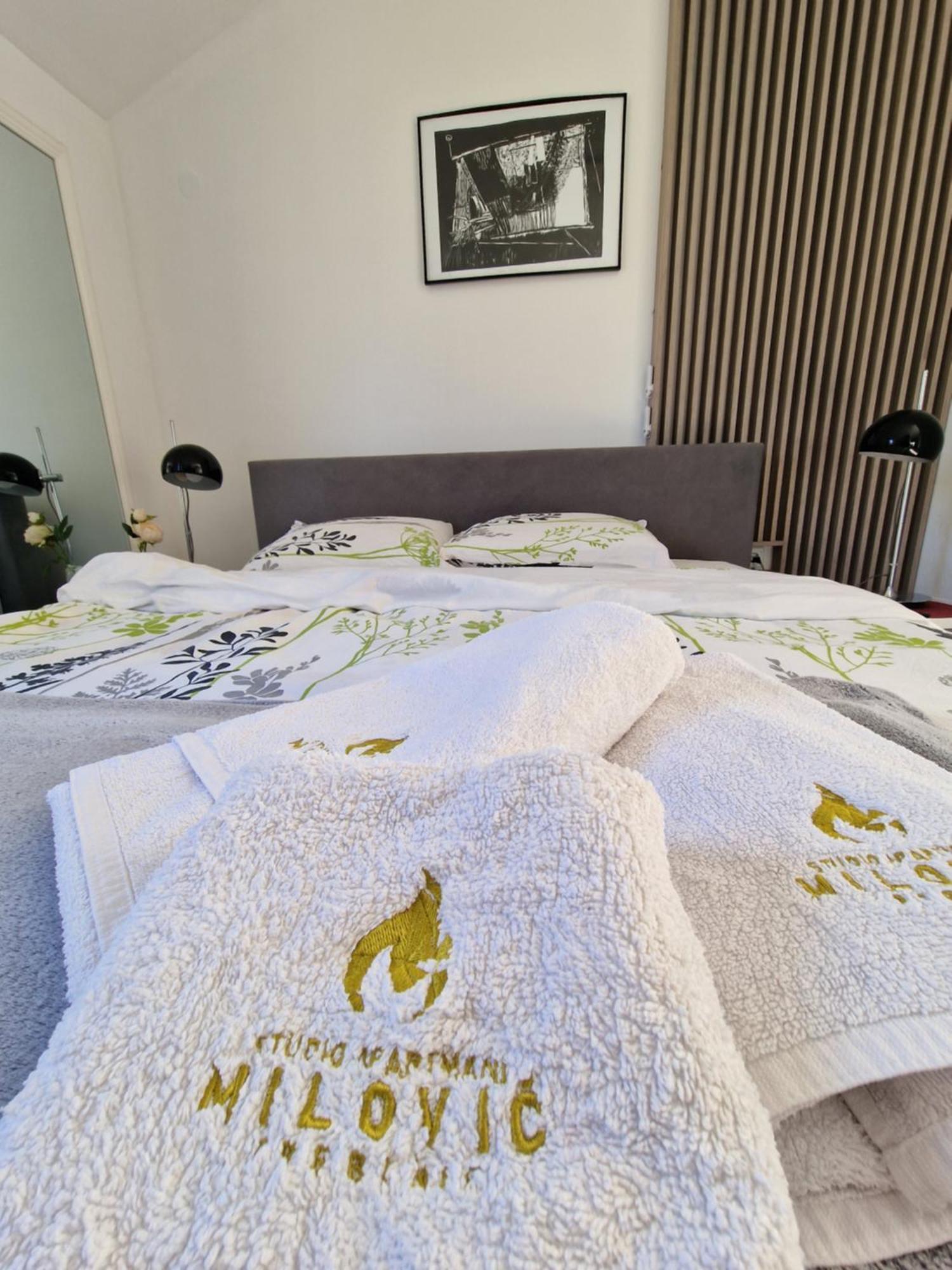 Studio Apartmani Milovic Τρέμπινιε Εξωτερικό φωτογραφία