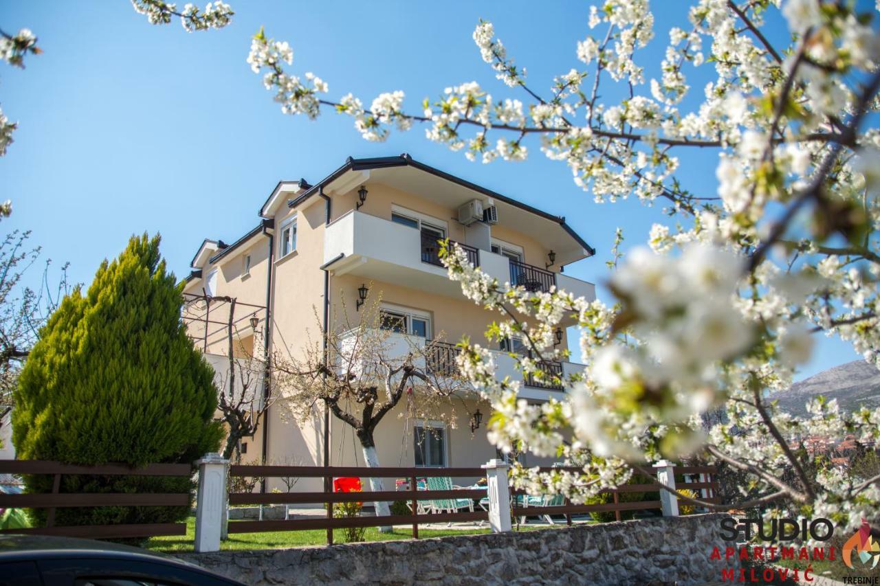 Studio Apartmani Milovic Τρέμπινιε Εξωτερικό φωτογραφία