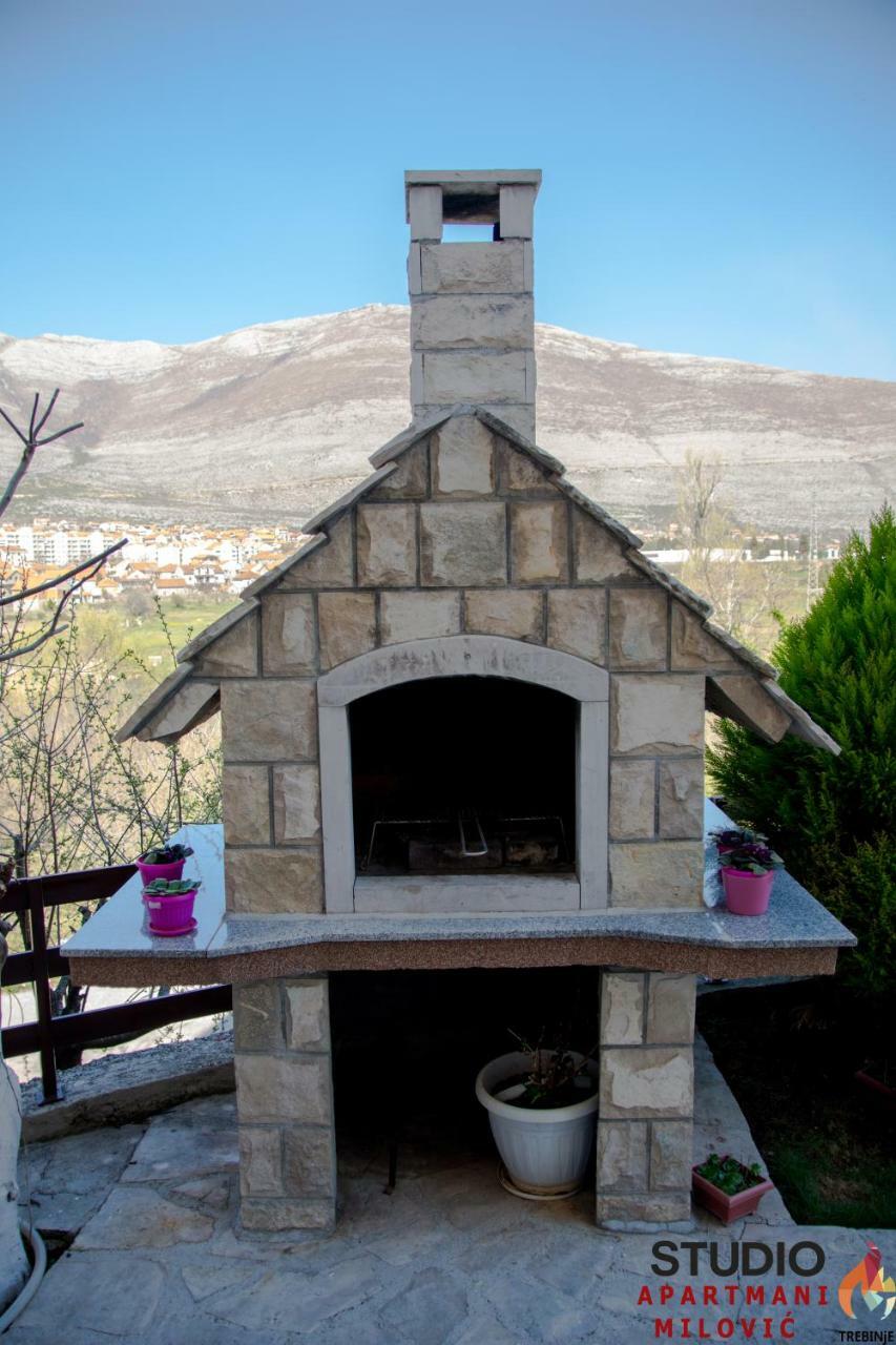 Studio Apartmani Milovic Τρέμπινιε Εξωτερικό φωτογραφία