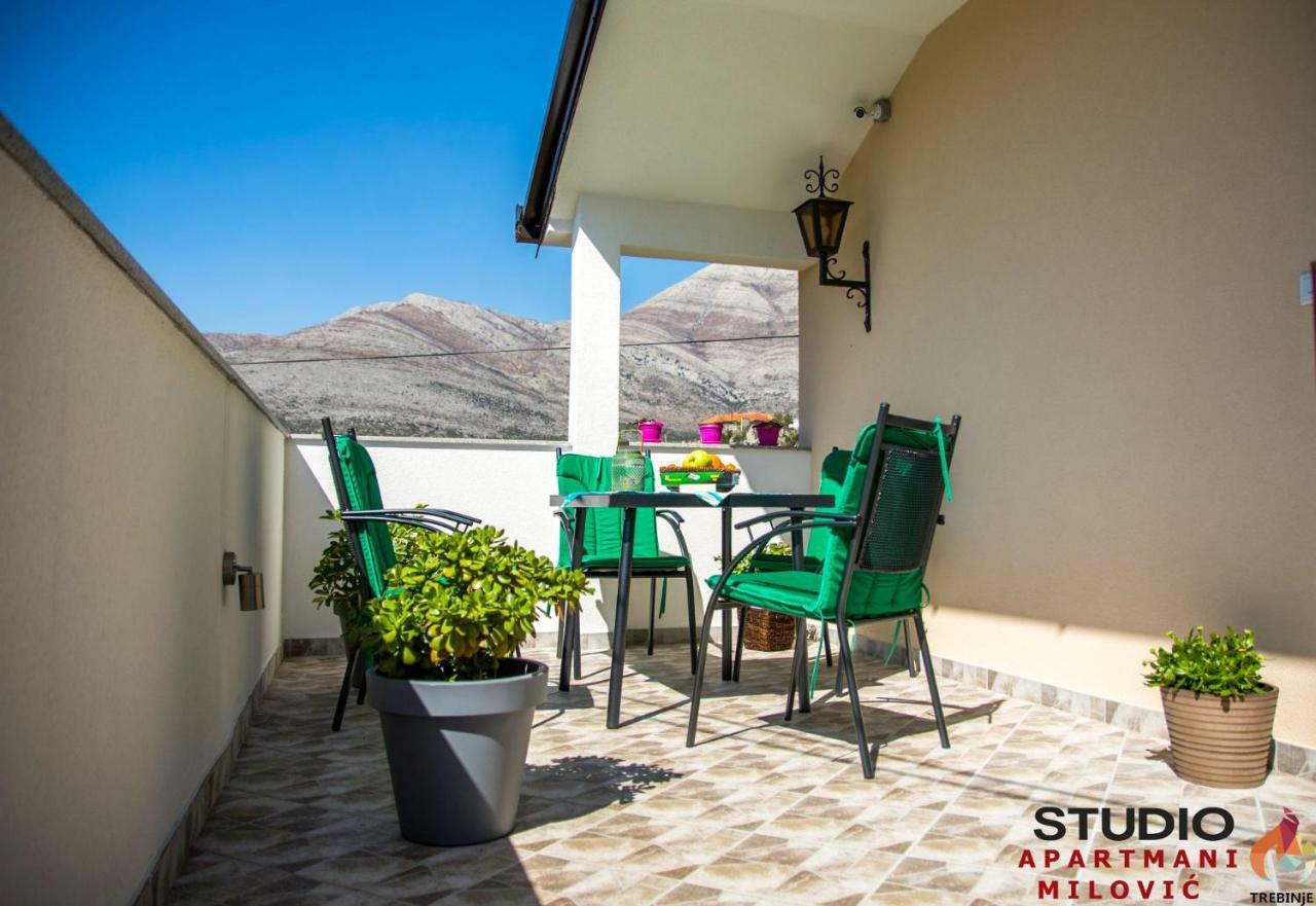 Studio Apartmani Milovic Τρέμπινιε Εξωτερικό φωτογραφία